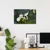 Spring Virginia Dogwood Tree Blossom Poster (Thuiskantoor)