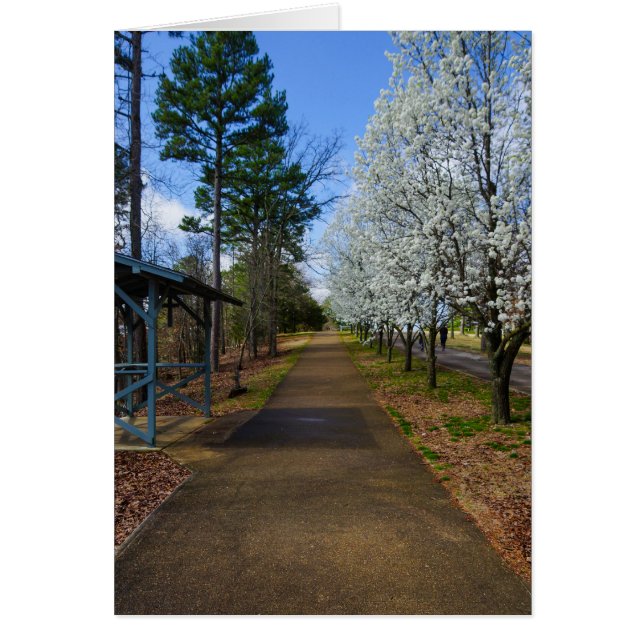 Spring Walk (Voorkant)