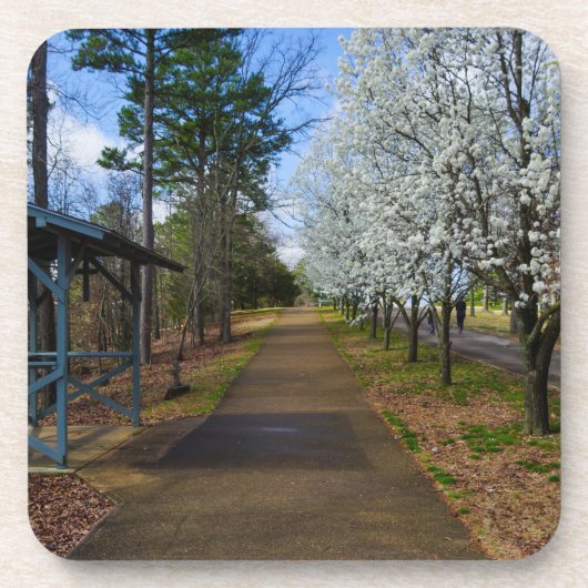 Spring Walk Bier Onderzetter (Voorkant)