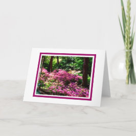 Spring Walk Blank Wenskaart Kaart