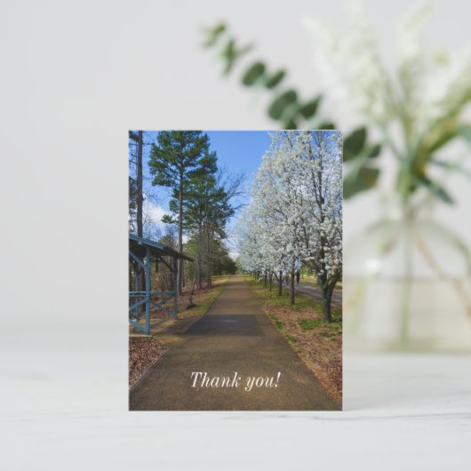 Spring Walk Briefkaart (Staand voorkant)