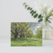 Spring Walk Briefkaart (Staand voorkant)