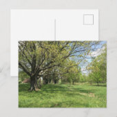 Spring Walk Briefkaart (Voorkant / Achterkant)