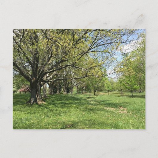 Spring Walk Briefkaart (Voorkant)