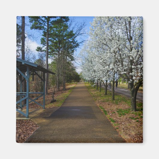 Spring Walk Magneet (Voorkant)