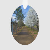 Spring Walk Ornament (achterkant)