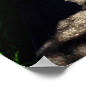 Spring Walk Poster (Hoek)