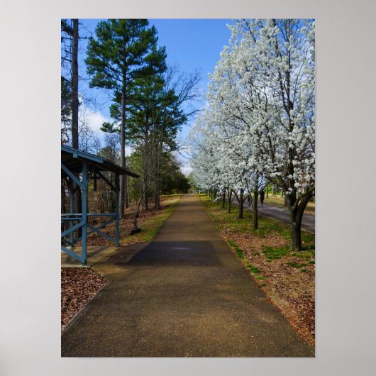 Spring Walk Poster (Voorkant)