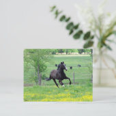 Spring Walker Briefkaart (Staand voorkant)