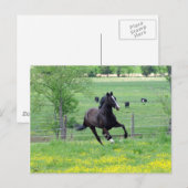 Spring Walker Briefkaart (Voorkant / Achterkant)