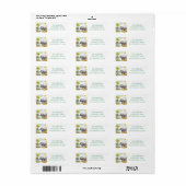 Spring Waterverf Hippopotamus Retouradres Etiket (Full Sheet)
