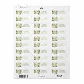 Spring Waterverf Swan retouradres Etiket (Full Sheet)