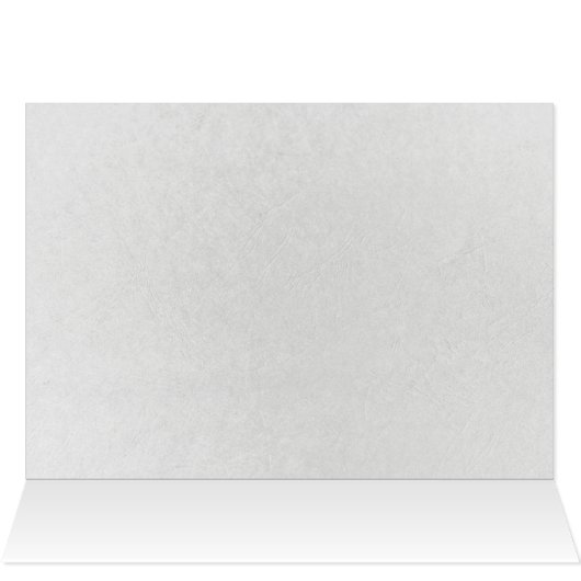 Spring Wedding Tulip Bouquet (Binnen Horizontaal (Boven))