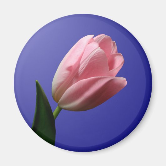 Spring Wedding Tulip Magnet (Voorkant)