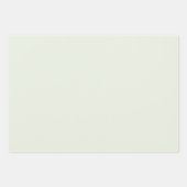 Spring Whisper Groen Effen Kleur Inpakpapier Vel (Voorkant 2)