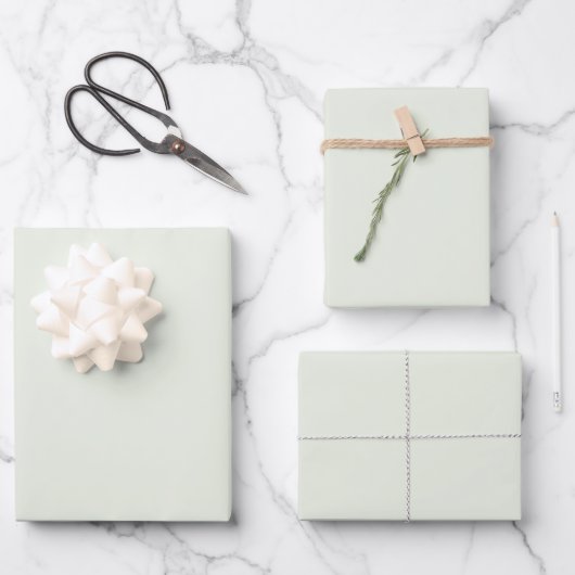 Spring Whisper Groen Effen Kleur Inpakpapier Vel (Voorkant)