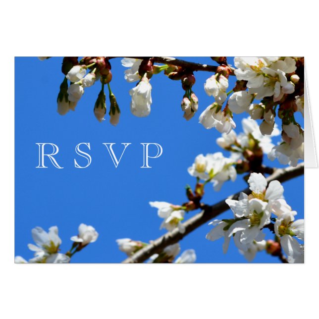 Spring white cherry Blossom (Voorkant Horizontaal)