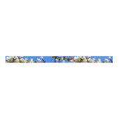 Spring white cherry Blossom Grosgrain Lint (Voorkant)