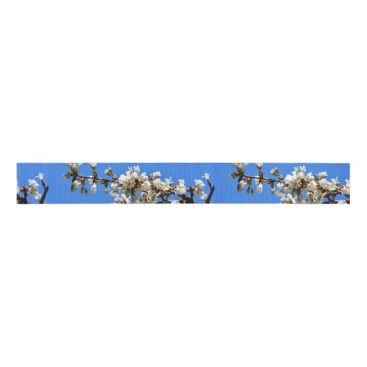 Spring white cherry Blossom Grosgrain Lint (Voorkant)