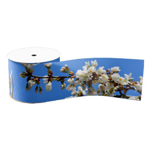 Spring white cherry Blossom Grosgrain Lint