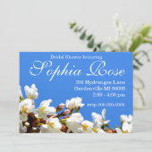 Spring white cherry Blossom Kaart (Staand voorkant)