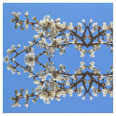 Spring white cherry Blossom Stof (Close Up)