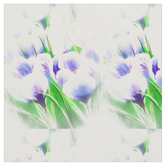 Spring White Crocus Stof (Close Up)
