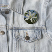 Spring White Flower Button (In situ)