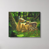 Spring Whitetail Fawn en moeder Deer Canvas Afdruk (Voorkant)