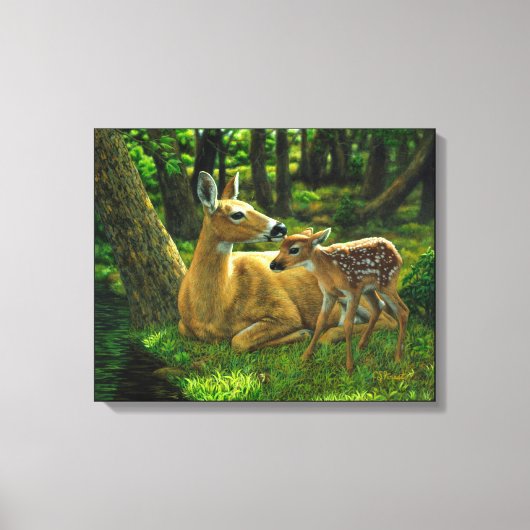 Spring Whitetail Fawn en moeder Deer Canvas Afdruk (Voorkant)