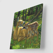 Spring Whitetail Fawn en moeder Deer Vierkante Klok (Hoek)