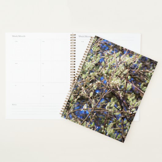 SPRING WILLOW PLANNER (Display)