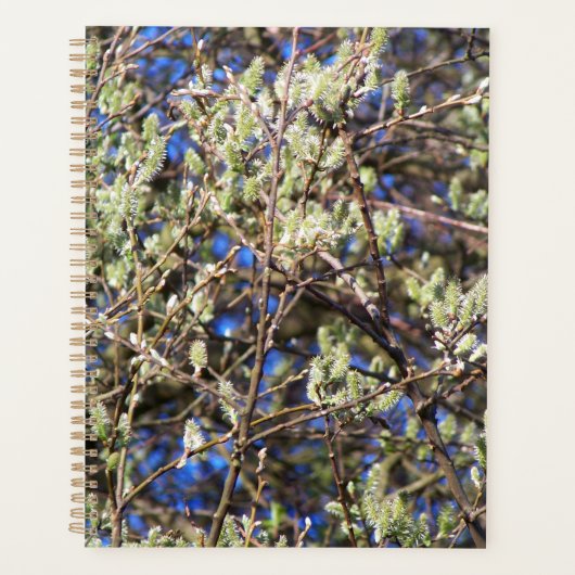 SPRING WILLOW PLANNER (Voorkant)