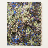 SPRING WILLOW PLANNER (Achterkant)
