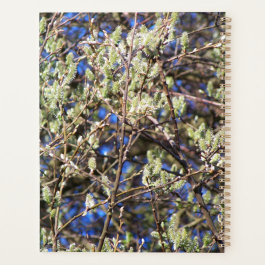 SPRING WILLOW PLANNER (Achterkant)