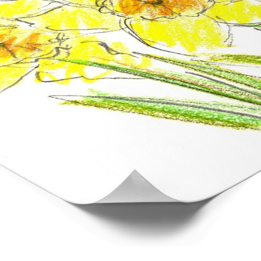 Spring Yellow Daffodil Garden Waterverf Tekening Poster (Hoek)