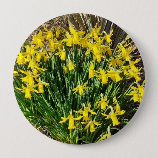 Spring Yellow Daffodils Badge Ronde Button 4,0 Cm (Voorkant)