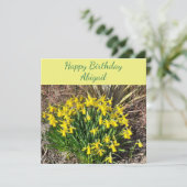 Spring Yellow Daffodils Flat Birthday Card Kaart (Staand voorkant)