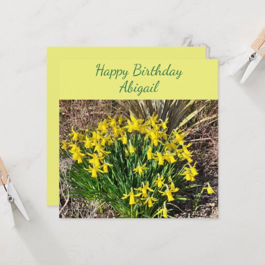 Spring Yellow Daffodils Flat Birthday Card Kaart (Voorkant / Achterkant in situ)