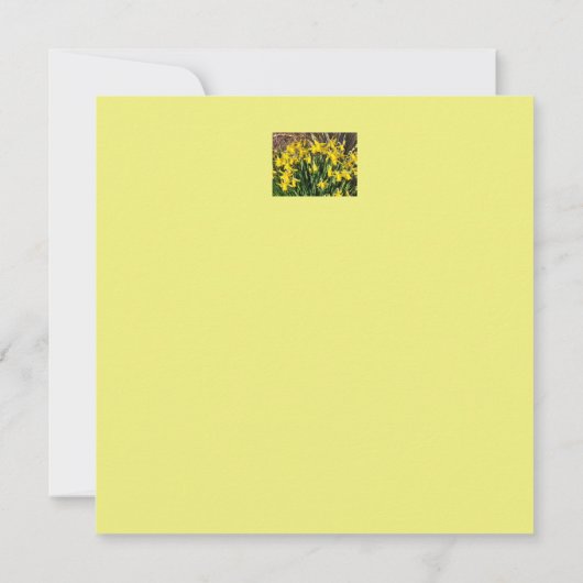 Spring Yellow Daffodils Flat Birthday Card Kaart (Achterkant)