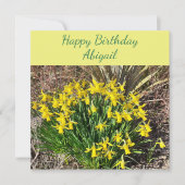 Spring Yellow Daffodils Flat Birthday Card Kaart (Voorkant)