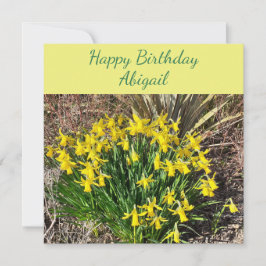 Spring Yellow Daffodils Flat Birthday Card Kaart