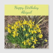 Spring Yellow Daffodils Magnetic Birthday Kaart (Voorkant)