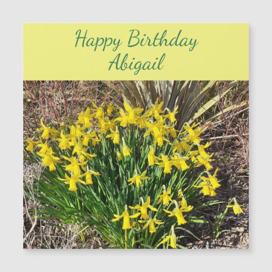 Spring Yellow Daffodils Magnetic Birthday Kaart (Voorkant)