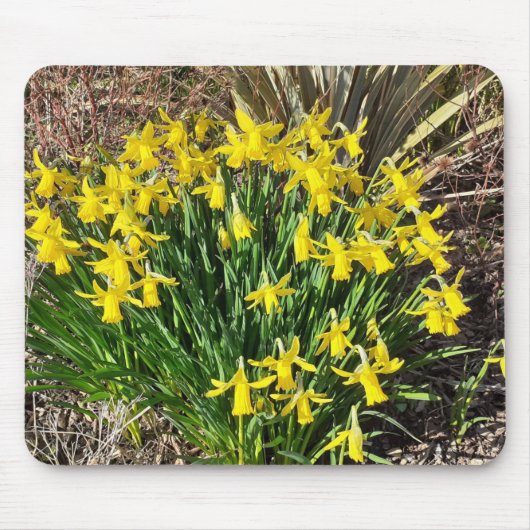 Spring Yellow Daffodils Mouse Mat Muismat (Voorkant)