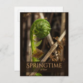 Spring Young fern stijgende CC0919 Prachtige natuu Briefkaart (Voorkant / Achterkant)