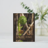 Spring Young fern stijgende CC0919 Prachtige natuu Briefkaart (Staand voorkant)