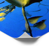 SPRINGBLOSSEN OP BLAUW POSTER (Hoek)