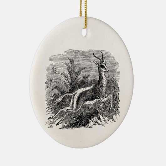  Springbok Antelope Gazelle Persoonlijk Keramisch Ornament (Rechts)