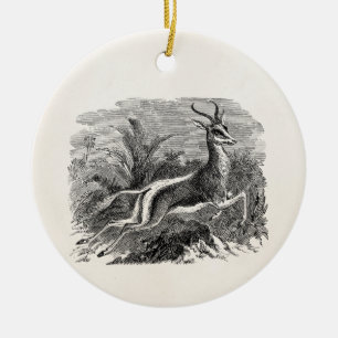 Springbok Antelope Gazelle Persoonlijk Keramisch Ornament